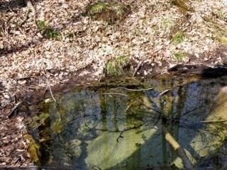 Flowing spring