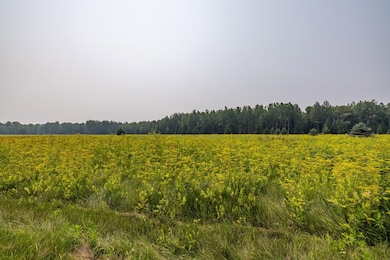 13 Acres Whitetail Ln, Tipler, WI 54542 - photo 2