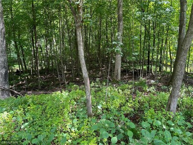 Lot 6 186th St, Balsam Lake, WI 54024 - photo 5