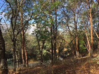 0 S Vannoy Creek Rd, Grants Pass, OR 97526 - photo 2