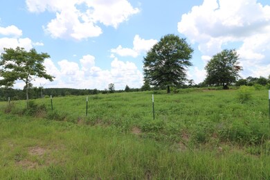 AB985 TR36-1 County Road 1028, Newton, TX 75966 - photo 6
