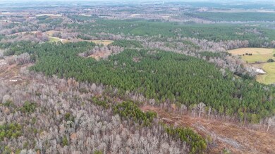 48 Overhill Rd, Skipwith, VA 23968 - photo 4