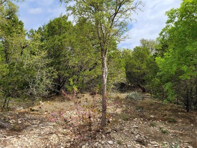 TBD Wagon Wheel Trail, Weatherford, TX 76086 - photo 4