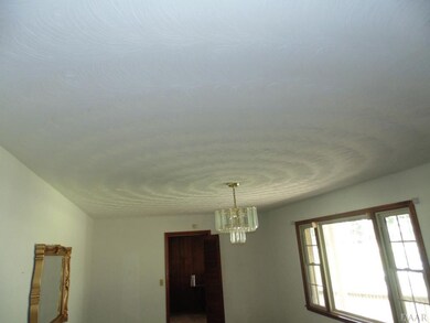LIVING ROOM CEILING