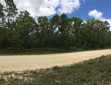 0 Turkey Oak Rd unit 145 270577, Keaton Beach, FL 32348 - photo 2