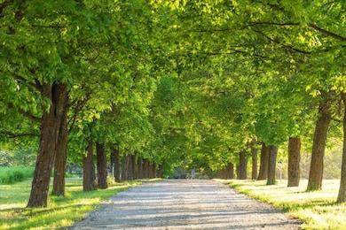 NKA E Day Mt Spokane Rd unit North Parcel, Mead, WA 99021 - photo 5