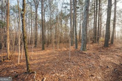 28.61 ACRES Sandy Creek Rd, Madison, GA 30650 - photo 7