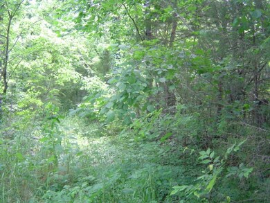 0 Mill Rd, Shelbyville, TN 37160 - photo 2