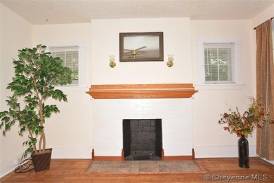 Fireplace is gas, homeowners have never used it.