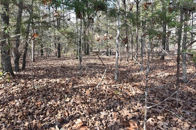 Lot 53 Sunnyside Ave, Fairfield Bay, AR 72088 - photo 2