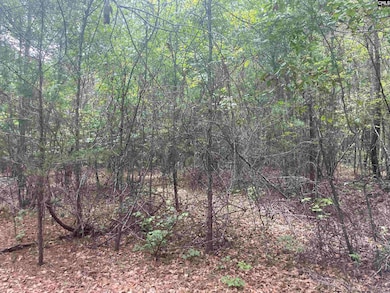 921 Jackson Rd, Ridgeway, SC 29130 - photo 5