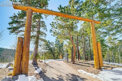 528 Mohawk Heights, Florissant, CO 80816 - photo 5