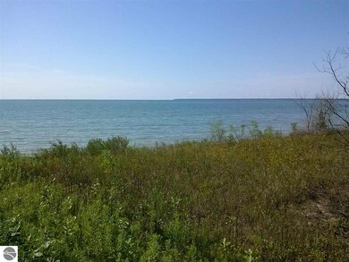 NA E Michigan Ave, Au Gres, MI 48703 - photo 7