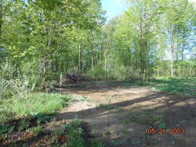 P2068 N Pole Rd, Aniwa, WI 54408 - photo 6