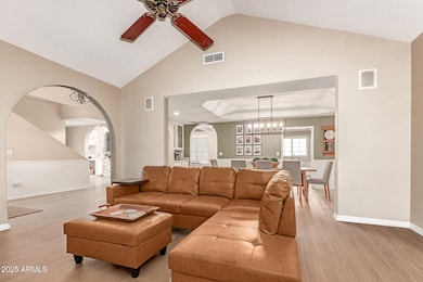 6 - Desert Willow