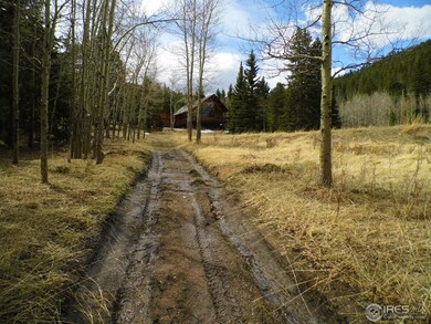 1630 Monument Gulch Way, Bellvue, CO 80512 - photo 2
