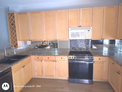 2367 E 70th Place unit 1A, Chicago, IL 60649 - photo 3