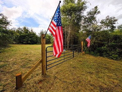 0 Grimsley Rd, Gordon, AL 36343 - photo 2