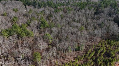 DJI_20240218151350_0046_D