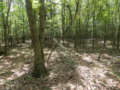 2136 S Chapel Hill Church Rd, Denton, NC 27239 - photo 3