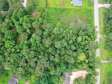 Lot 132 Lexington, the Woodlands, TX 77385 - photo 5