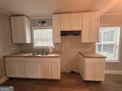 443 Stewart St SW, Pelham, GA 31779 - photo 7