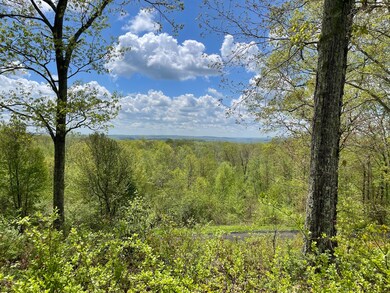 170 Rabbit Hill Rd, New Preston Marble Dale, CT 06777 - photo 4