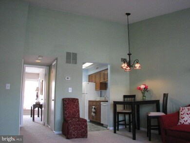 4546 28th Rd S unit F, Arlington, VA 22206 - photo 5