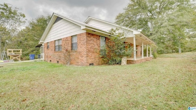 3820 Logan Martin Dam Rd, Cropwell, AL 35054 - photo 5