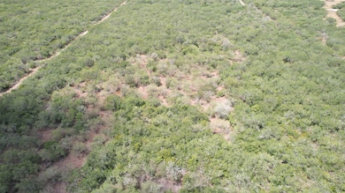 0 Cr 406 (E Off Of) unit County Road 406, Falfurrias, TX 78355 - photo 5