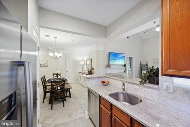 11314 Westbrook Mill Ln unit 303, Fairfax, VA 22030 - photo 7