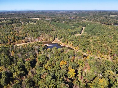 000 Roaring Fork Lake Rd, Chatham, VA 24531 - photo 5