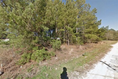0 SE 63rd Place unit MFRO6364322, Morriston, FL 32668 - photo 2