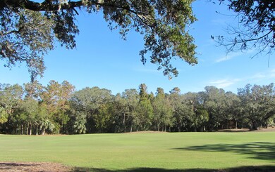 15 sabal palm