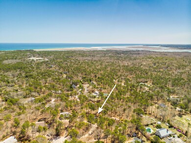 Located near Salt Pond Visitor Center