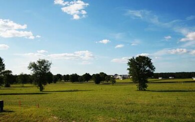 LOT50 Upstage Glen, Lake City, FL 32024 - photo 2