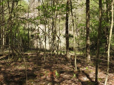 999 Ben Baker Rd, Somerset, KY 42501 - photo 4