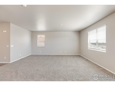 6915 Grainery Ct, Timnath, CO 80547 - photo 3