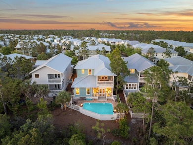 Back View at Sunset