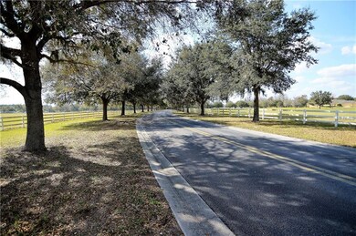 9710 Preakness Stakes Way, Dade City, FL 33525 - photo 5