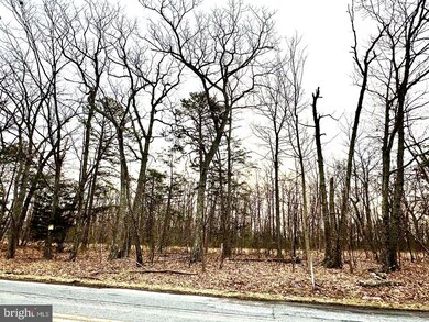 Lot 4 N Timber Ridge Rd, Cross Junction, VA 22625 - photo 3