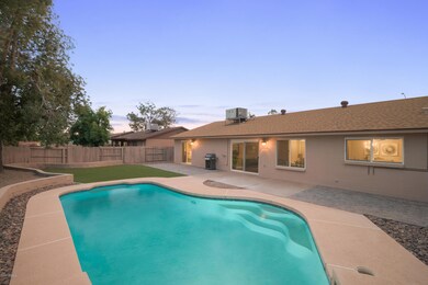 Backyard Turf & Pool