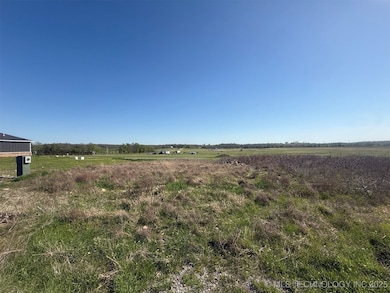 16920 W 828 Rd, Park Hill, OK 74464 - photo 6