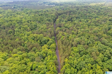 0000 Highway 26, Alabaster, AL 35007 - photo 6