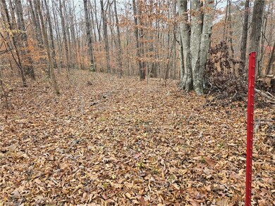 4901 & 4927 Montford Rd, Pfafftown, NC 27040 - photo 6