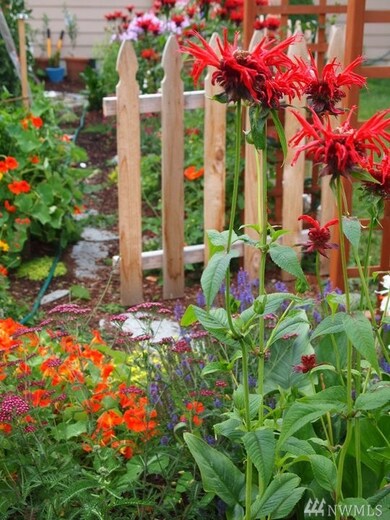 9143 Brendan Dr NW, Yelm, WA 98597 - photo 2