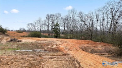 10356 County Road 17, Woodville, AL 35776 - photo 2