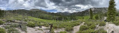 thumbnail_IMG_2755