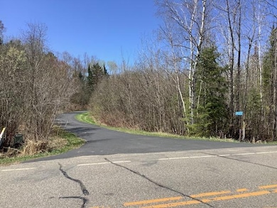 19323 Wendigo Park Rd, Grand Rapids, MN 55744 - photo 7