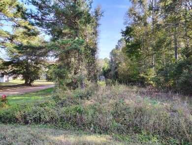 112 Tropicana Ct, Orangeburg, SC 29118 - photo 6